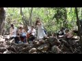 Davide swarup and arambolla  the banyan tree  dreamland live in the jungle  handpan music