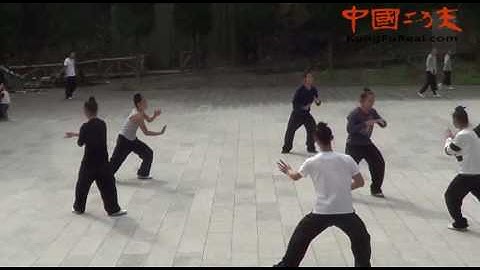 learn kung fu online---wudang bajiquan form practice