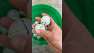 Vice and Triple Track golf balls #shorts
