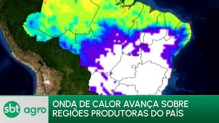 Video sbt-agro-29-04-24-maio-inicia-com-temperaturas-mais-altas-em-regioes-produtoras-do-pais