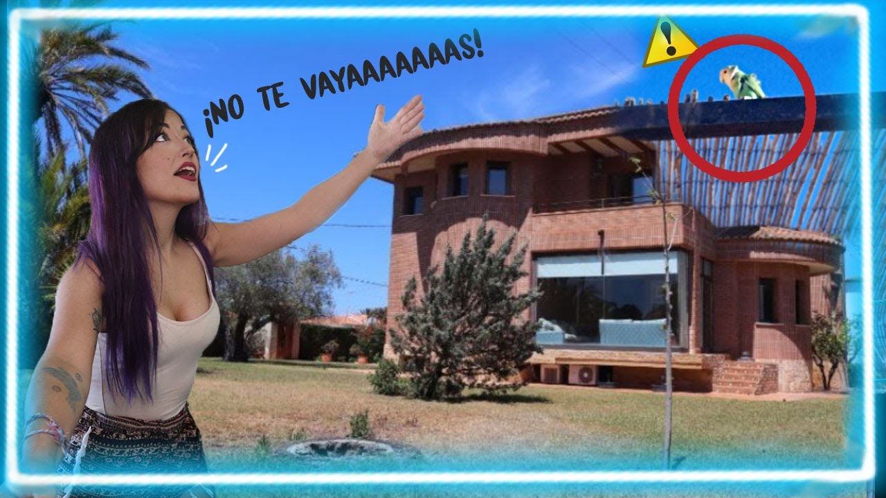 ¡Encuentro a este loro en mi casa! - ¿Abandonado? ¿Perdido?