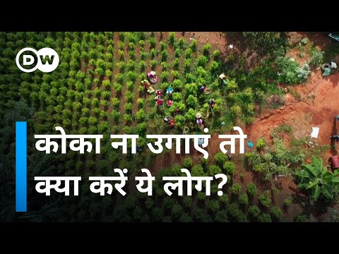 वीडियो: कोलम्बिया के कॉफी त्रिभुज पर जाएँ