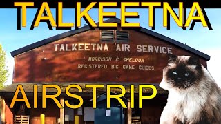 Talkeetna Airport and Don Sheldon Update 6/5 #2023 #alaska #bushplane #bushpilot #cat #mayor