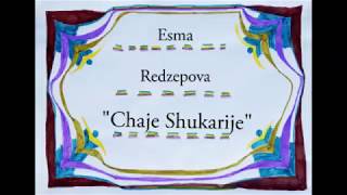 Esma Redžepova - Chaje Shukarije (fan lyric video) Resimi