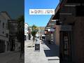 뉴질랜드 2일차#뉴질랜드#오클랜드#일상#브이로그#newzealand#auckland