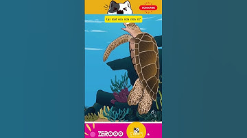 RÙA BIỂN VÀ RÁC THẢI NHỰA #funny #dongvat #hoathinh #animals #shorts