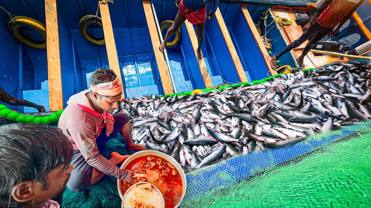 Ого 🤩 Мы поймали миллионы тунцов за один день | обед карри из тунца |