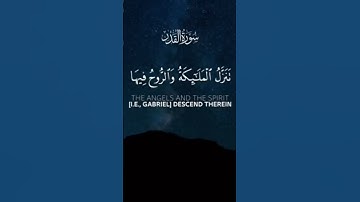 سورة القدر #اسلام_صبحي