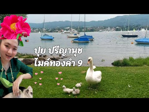 ปุยปรีญานุช-ไมค์ทองคำ9-แต่งหน้