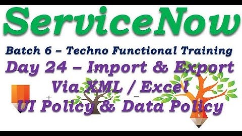 Batch 6 || Day 24|| Import Export Via XML & UI & Data Policy || Techno Functional Training