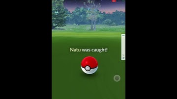 Pokémon go ( I got a shiny ✨ Natu ) using IPogo