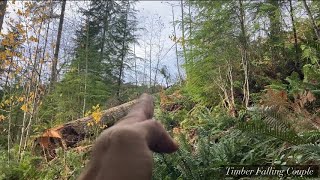 How A Dutchman Works For Tree Felling [w/ demonstration]