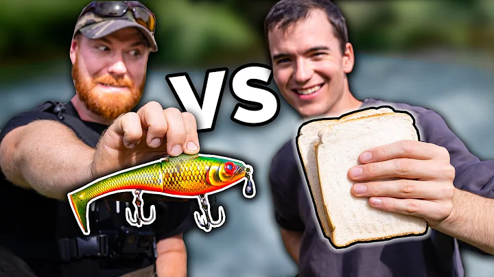 Lures vs Bait - What Catches Most Fish? - DayDayNews