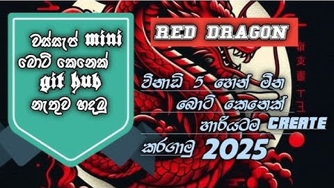 How create whatsapp mini bot very easy in sinhala. හරියටම whatsapp mini bot කෙනෙක් හදාගමු.