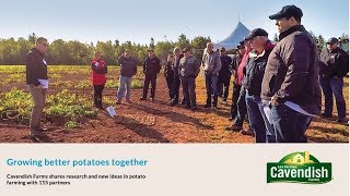 Growing Better PEI Potatoes Together