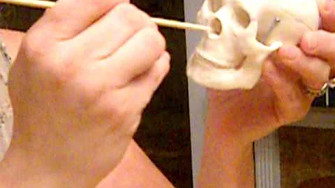 The Skull - Dawn Simone