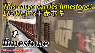【Rare】This cargo carries limestone! EF210-173+赤ホキ 金山駅を通過