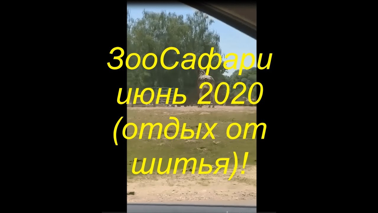 ЗооСафари июнь 2020 (отдых от шитья)!