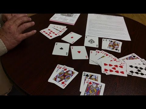 Pinochle 101