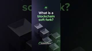 Uphold Academy: What is a Soft Fork?