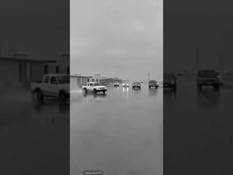 طلع خاين