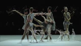 Sydney Dance Co. + Turkish Bazar mix