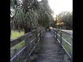 One minute walk in Florida #bird #birds #nature #pond #wildlife #trail #wild #photography #viral