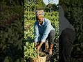 A farmar lady 🪴 the vegetable