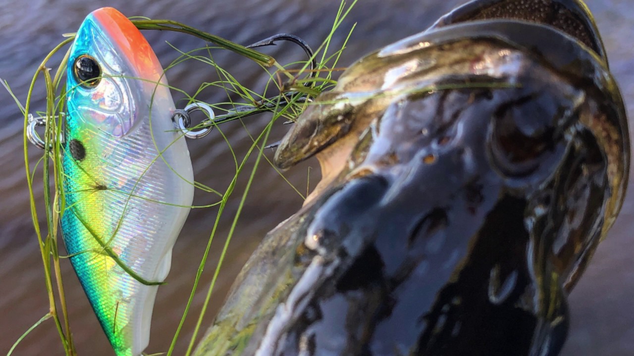 Kayak Bass Fishing Destin Florida YouTube