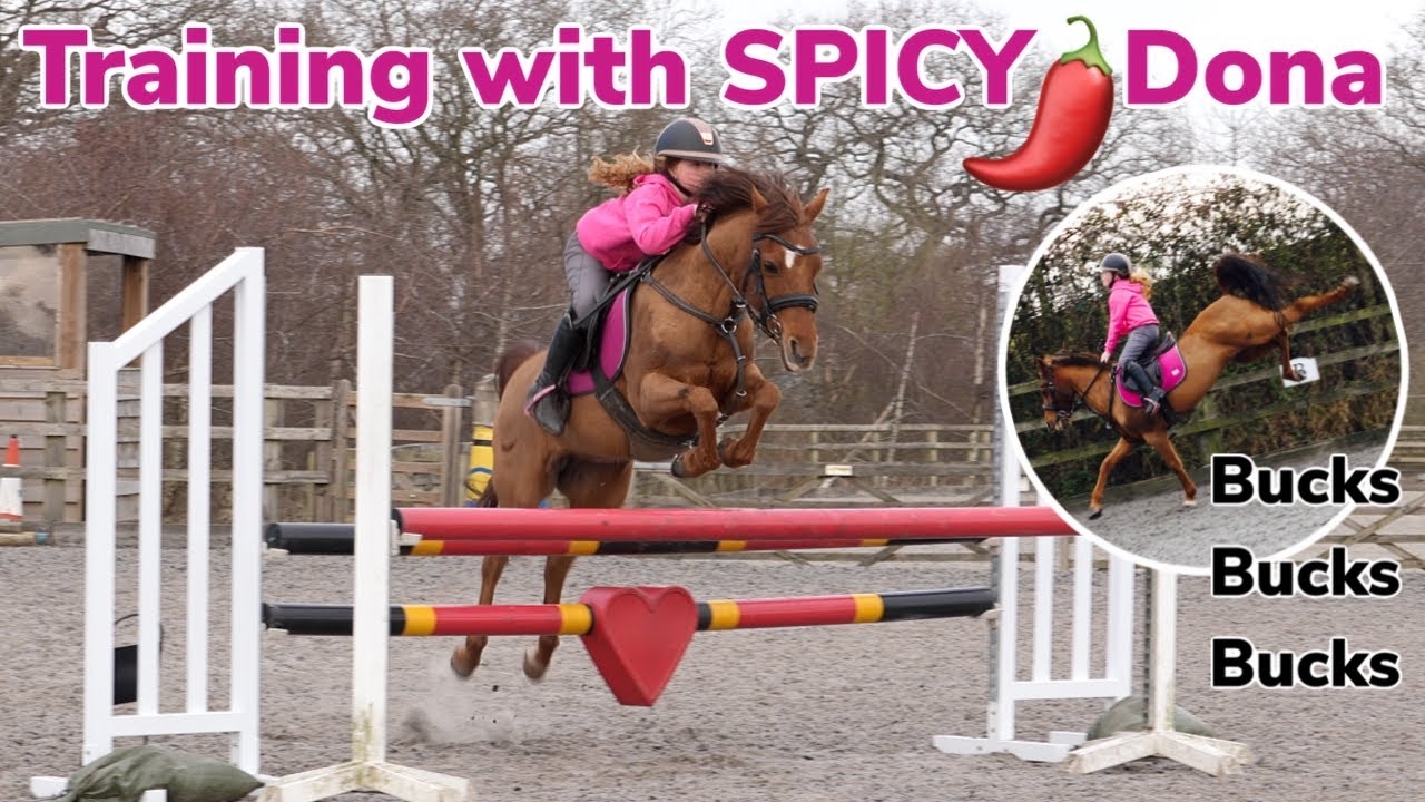 TRAINING THE MOST SPICY PONY IN THE WORLD