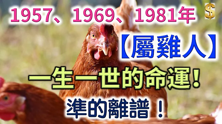 1957年、1969年、1981年的屬雞人的一生一世的命運！準的離譜！ - 天天要聞