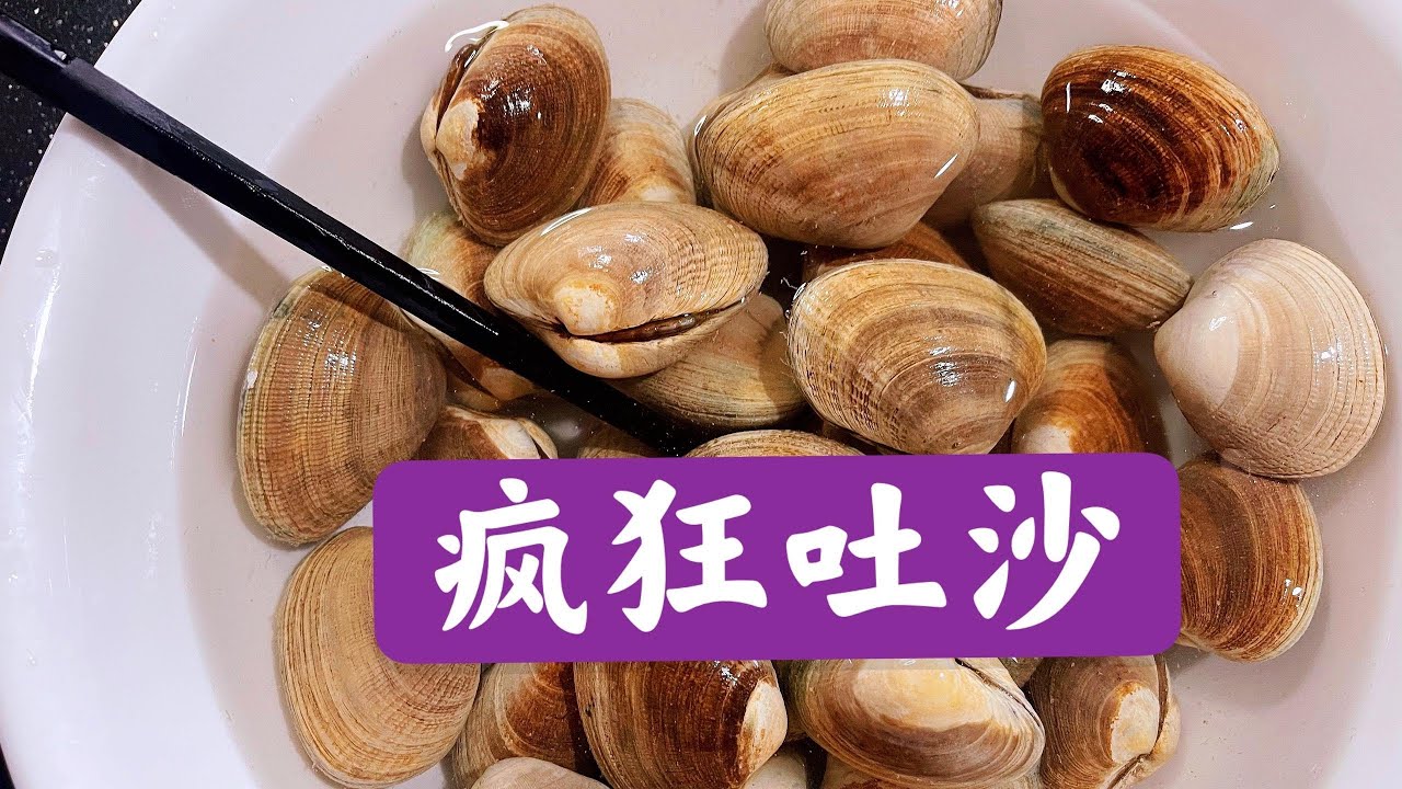 洗花蛤 最忌直接加鹽洗 老漁民教我妙招 花蛤瘋狂急速吐沙let Clam Crazy Spat Sand Youtube