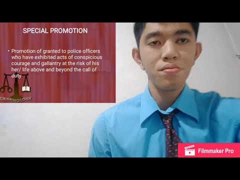 PARUNGAO_PNP Promotion System and Attrition System