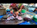 Surmai Fish Cutting at Malvan Fish Auction | Malvan | Sindhudurg (Konkan)