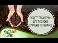 Подготовка почвы для посадки луковиц тюльпанов