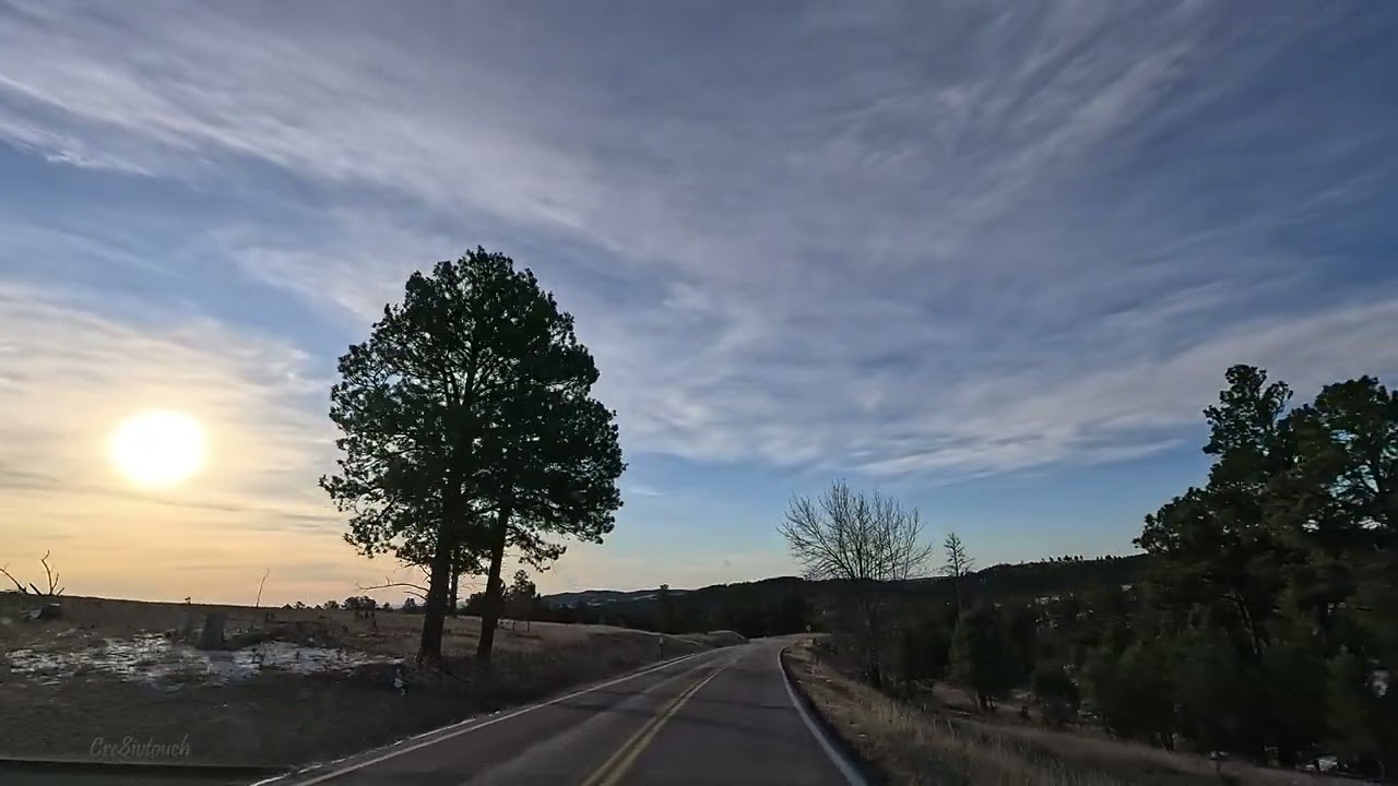 Driving Iron Mountain Road in March