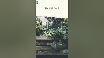 أمن يجيب المضطر إذا دعاه  - تلاوة بندر بليلة
