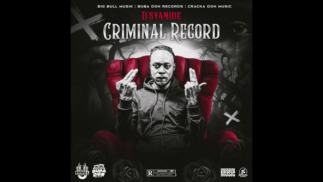 D' Syaide - Criminal Record [Audio Visualizer] - YouTube