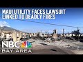 Utility hawaiian electric faces lawsuit connected to maui wildfires