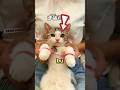 Kedi Suçunu İNKAR ETTİ ❗😂