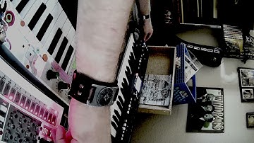 🦍🦍🦍🦍 DAWless #NFTwave #Instajam  #Spiderwave #Werewolfwave #AlteredStatesChangeTheLawsOfPhysics