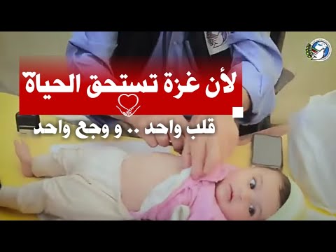قافلة الأمل من الجزائر إلى غزة دعم طبي جزائري يشد الرحال للتكفل الصحي بأهلنا في غزة