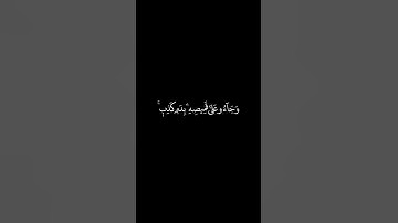 تلاوة جميلة من سورة يوسف 20 رمضان