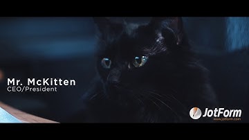 How Mr. McKitten uses Assign Forms