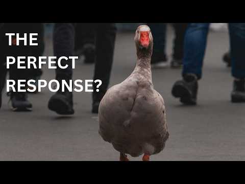 The Perfect Response by Loran Joly