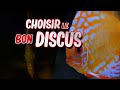 BIEN CHOISIR SES DISCUS (Où se fournir ? Taille, Forme, Origine)