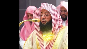 تلاوة بديعة تأخك إلى عالم اخر 🎧🌴
