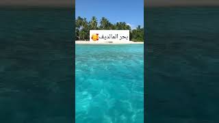 افضل شواطئ جزر المالديفالمالديف مالية جزر_المالديف maldives maldivesbeach منتجعات