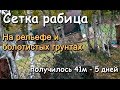 Забор своими руками. Сетка рабица