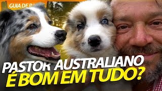 PASTOR AUSTRALIANO, UM CÃO COMPLETO! | RICHARD RASMUSSEN